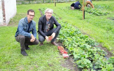 Modèle économique et mesure d’impact : comment la Banque des Territoires accompagne l’ESS dans sa mue